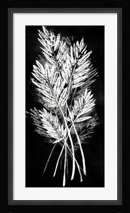 Framed Palm Leaf Fresco II Print
