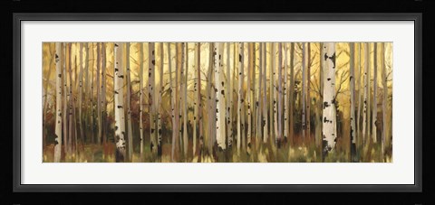 Framed Forest Light Print