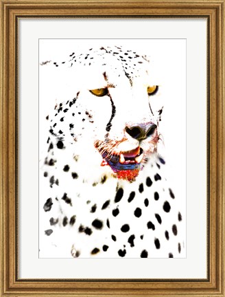 Framed Close-up of a Cheetah Print