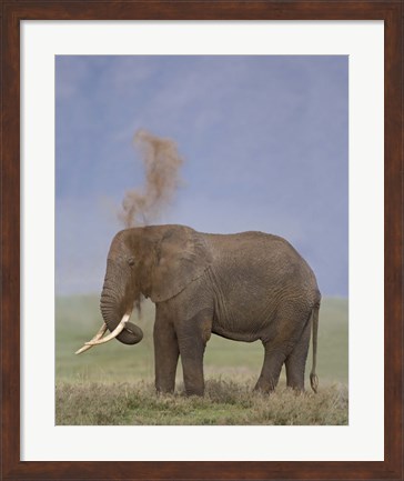 Framed African Elephant, Ngorongoro Crater, Arusha Region, Tanzania Print
