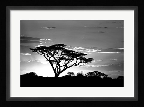 Framed Silhouette of Trees in Black and White, Ngorongoro Conservation Area, Arusha Region, Tanzania Print