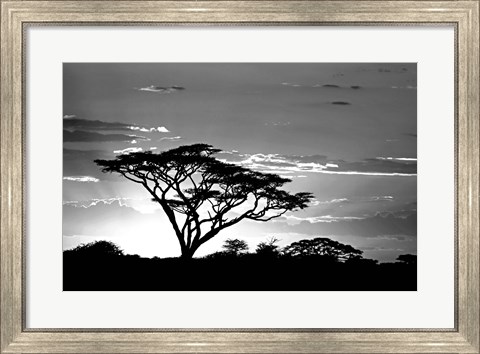 Framed Silhouette of Trees in Black and White, Ngorongoro Conservation Area, Arusha Region, Tanzania Print