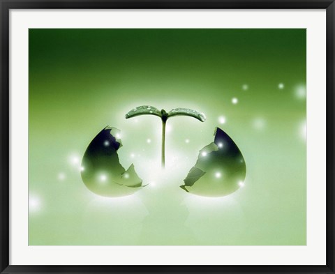 Framed Shiny green egg bursting in two with green sprig and stars escaping Print