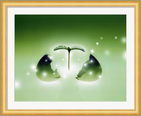 Framed Shiny green egg bursting in two with green sprig and stars escaping Print