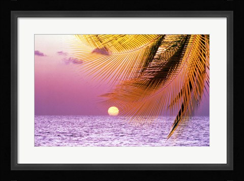 Framed Stylized tropical scene with violet sea, pink sky, setting sun and palm fronds Print