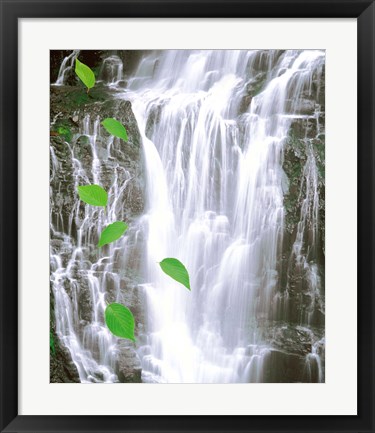 Framed Green leaves cascading in front of waterfall Print
