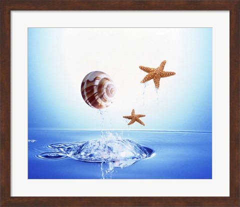 Framed shell and two starfish floating above bubbling water Print
