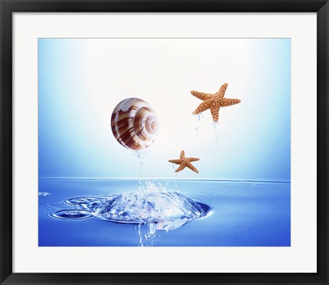 Framed shell and two starfish floating above bubbling water Print