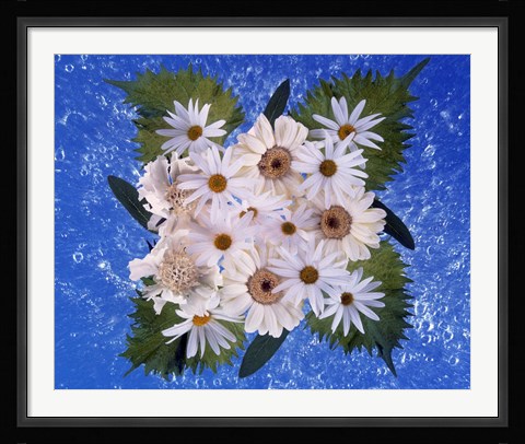 Framed Close up of white daisy bouquet with mottled blue background Print