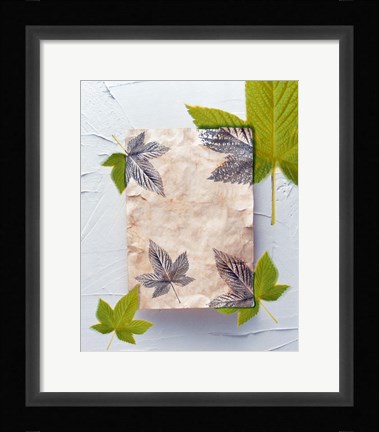 Framed Green and grey leaves superimposed on pink plaster rectangle on white plaster wall Print