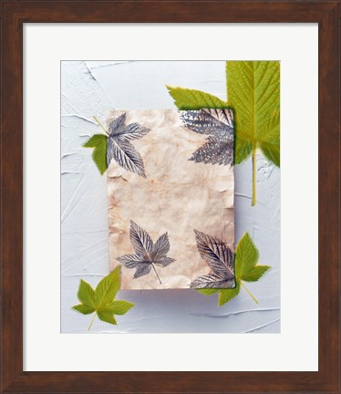 Framed Green and grey leaves superimposed on pink plaster rectangle on white plaster wall Print