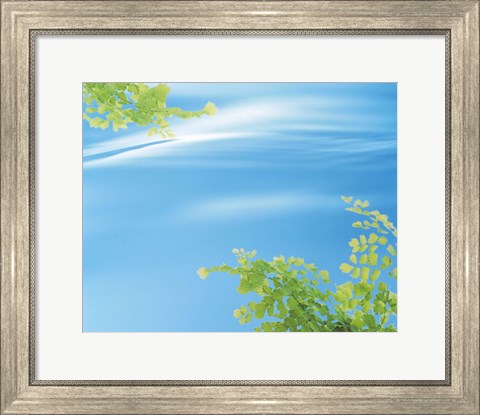 Framed Autumn leaves in water Print