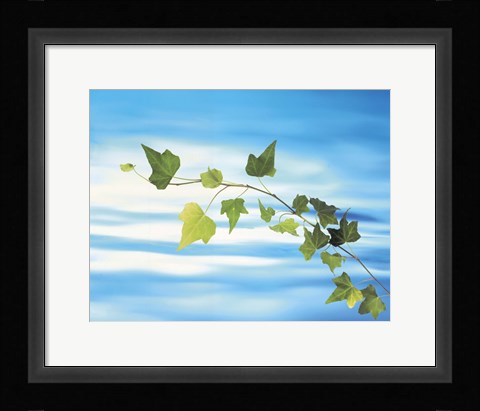 Framed Green vine floating in blue water Print