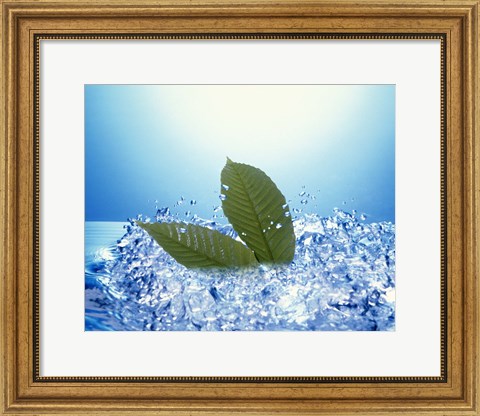 Framed Two green leaves in bubbling water Print