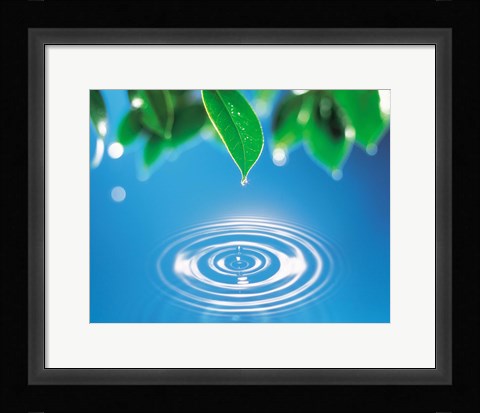 Framed Green leaves dripping water into perfect circles below Print