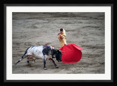 Framed Matador and a bull in a bullring, Lima, Peru Print