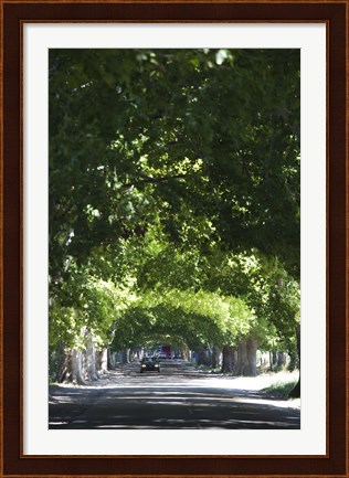 Framed Car on a country road, Lujan De Cuyo, Mendoza Province, Argentina Print