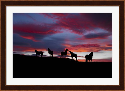 Framed Silhouette of horses at night, Iceland Print