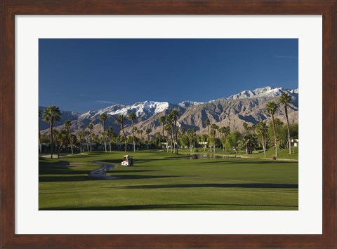 Framed Palm trees in a golf course, Desert Princess Country Club, Palm Springs, Riverside County, California, USA Print