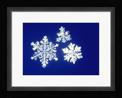 Framed Snowflakes Print