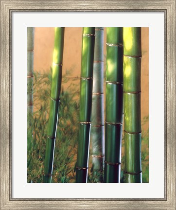 Framed Bamboo Sticks Print
