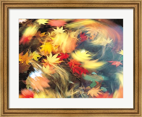 Framed Maple Leaves, Blurred Motion Print