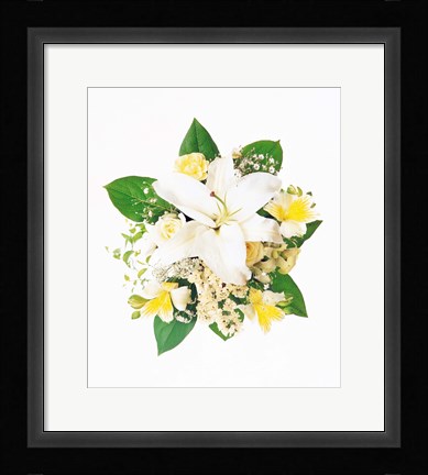 Framed Arranged Flowers and Leaves on White Background Print