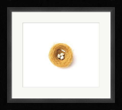 Framed Three Eggs in Nest Illustrated On White Background Print