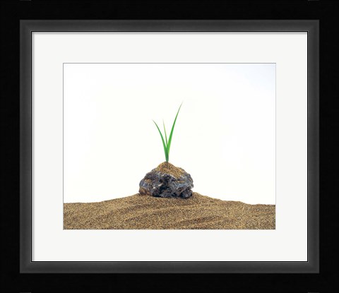 Framed Grass Growing From Stone Settled In Sand Print