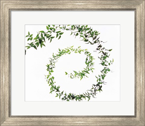 Framed Spiral of Leaves against Background Print