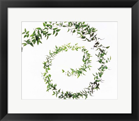 Framed Spiral of Leaves against Background Print