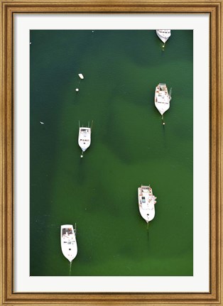 Framed Aerial view of boats in the sea, Cape Cod, Barnstable County, Massachusetts, USA Print
