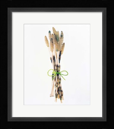 Framed Flowers tied by rope Print