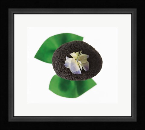 Framed Flower on rock Print