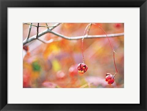 Framed Thin Tree Branch with Bud Print