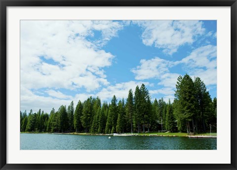 Framed Trees along bank of Lake Almanor, California, USA Print