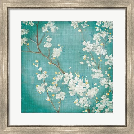 Framed White Cherry Blossoms II on Blue Aged No Bird Print