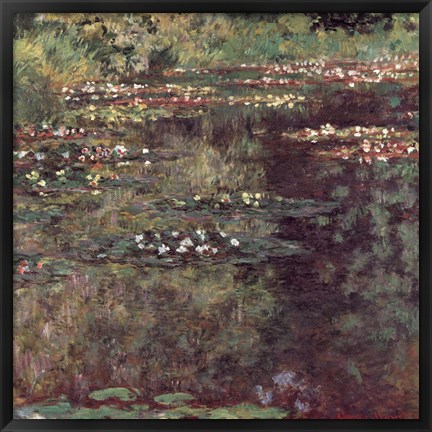 Framed Etang aux Nympheas Print
