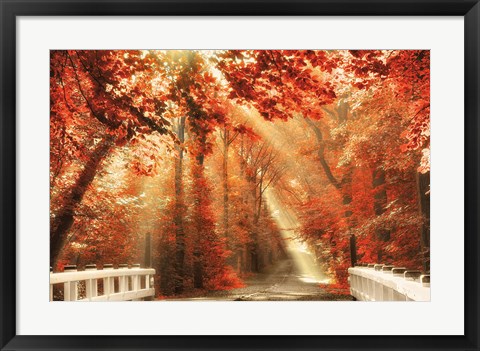 Framed Red for Rest Print