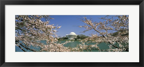 Framed Cherry blossom with memorial in the background, Jefferson Memorial, Tidal Basin, Washington DC, USA Print