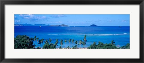 Framed Palm trees on the beach, British Virgin Islands Print