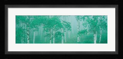 Framed Highlands Yachihokgen Nagano Japan Print