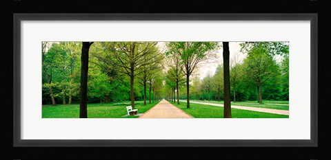 Framed Tree-lined road Hessen Kassel vicinity Germany Print