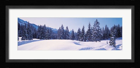Framed Snowy Field &amp; Trees Oberjoch Germany Print