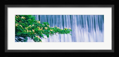 Framed Kamo River Kyoto Japan Print
