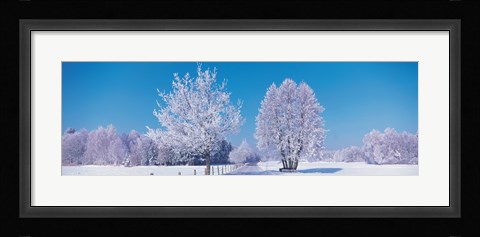 Framed Winter scenic Germany Print