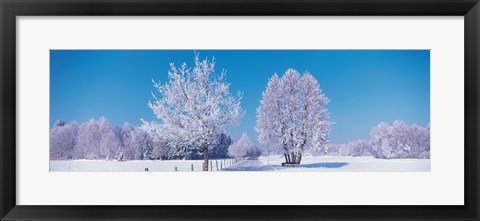 Framed Winter scenic Germany Print
