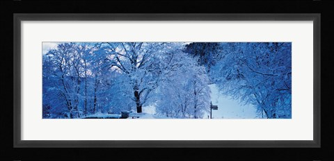 Framed Snow Covered Trees, Ramsau Germany Print