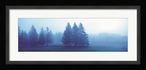 Framed Misty forest Quebec Canada Print