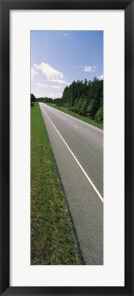 Framed Trees along the road, Alabama State Route 113, Alabama, USA Print
